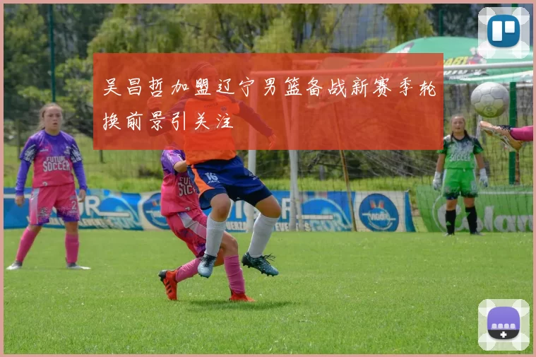 吴昌哲加盟辽宁男篮备战新赛季轮换前景引关注